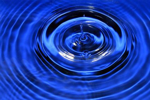 The wave. The French for "the wave" is "l’onde". The wave. The French for "the wave" is "l’onde".