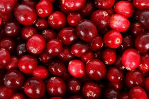 A cranberry. The French for "a cranberry" is "une canneberge". A cranberry. The French for "a cranberry" is "une canneberge".