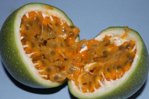 Passion fruit. The French for "passion fruit" is "fruit de la passion". Passion fruit. The French for "passion fruit" is "fruit de la passion".