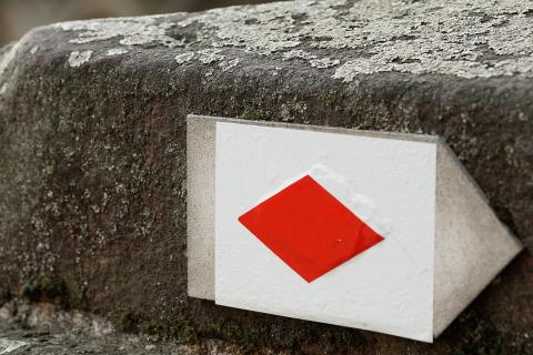 Parallelograms. The French for "parallelograms" is "parallélogrammes". Parallelograms. The French for "parallelograms" is "parallélogrammes".