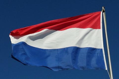 Dutch. The French for "dutch" is "néerlandais". Dutch. The French for "dutch" is "néerlandais".