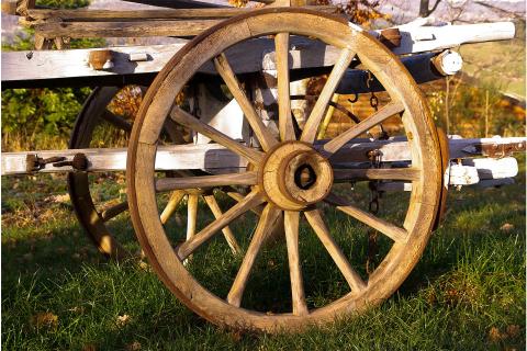 Wheel. The French for "wheel" is "roue". Wheel. The French for "wheel" is "roue".