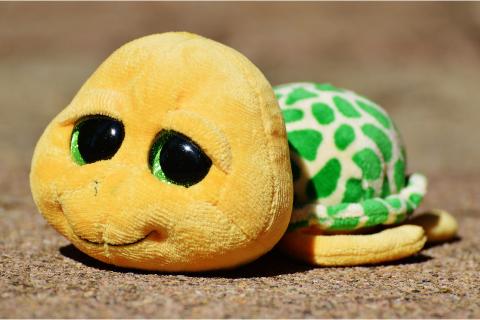 The soft toy. The French for "the soft toy" is "la peluche". The soft toy. The French for "the soft toy" is "la peluche".
