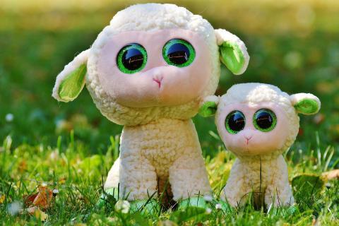 Some soft toys. The French for "some soft toys" is "des peluches". Some soft toys. The French for "some soft toys" is "des peluches".