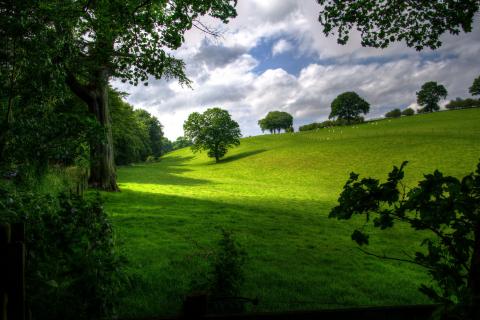 Nature. The French for "nature" is "nature". Nature. The French for "nature" is "nature".