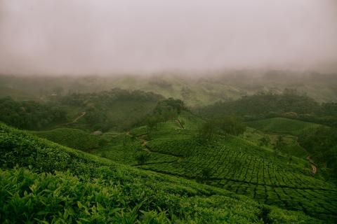 Some hills. The French for "some hills" is "des collines". Some hills. The French for "some hills" is "des collines".