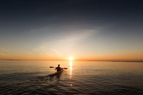 The canoeing. The French for "the canoeing" is "le canoë-kayak".