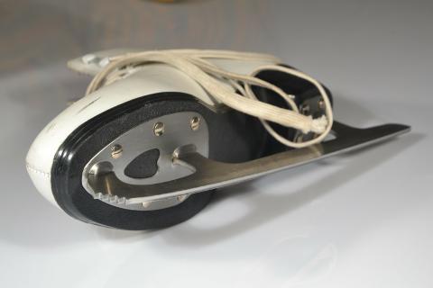The skate. The French for "the skate" is "le patin". The skate. The French for "the skate" is "le patin".