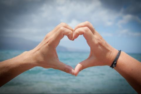 Love. The French for "love" is "amour". Love. The French for "love" is "amour".