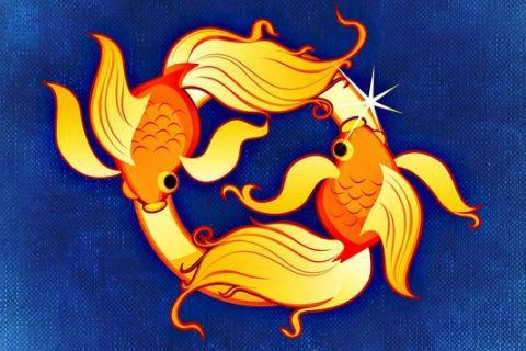 Pisces. The French for "Pisces" is "poissons".