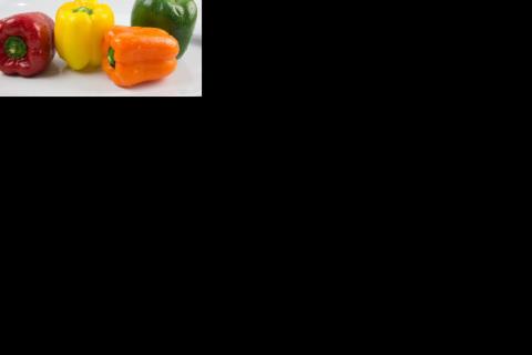 Pepper (British); bell pepper (American). The French for "pepper (British); bell pepper (American)" is "poivron". Pepper (British); bell pepper (American). The French for "pepper (British); bell pepper (American)" is "poivron".