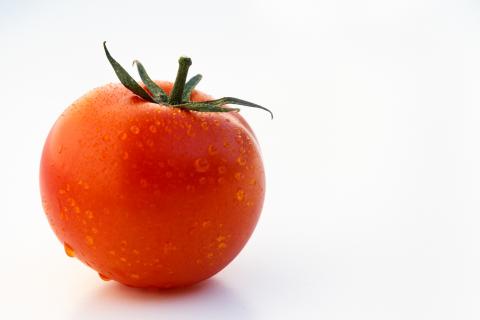 The tomato. The French for "the tomato" is "la tomate". The tomato. The French for "the tomato" is "la tomate".
