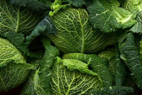 Cabbages. The French for "cabbages" is "choux". Cabbages. The French for "cabbages" is "choux".