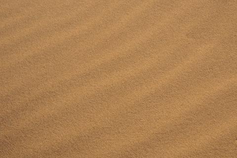 Sand. The French for "sand" is "sable".