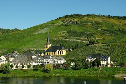 Village. The French for "village" is "village". Village. The French for "village" is "village".