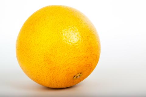 Grapefruit. The French for "grapefruit" is "pamplemousse". Grapefruit. The French for "grapefruit" is "pamplemousse".
