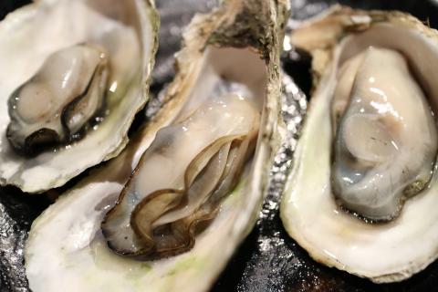 Oyster. The French for "oyster" is "huître". Oyster. The French for "oyster" is "huître".