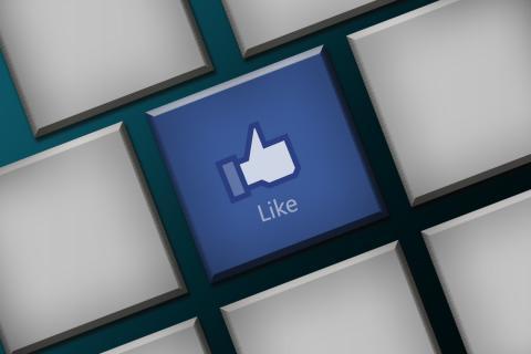 To like. The French for "to like" is "kiffer". To like. The French for "to like" is "kiffer".