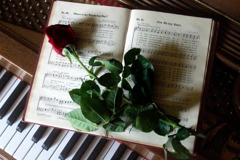 A rose on a music book. The Thai for "a rose on a music book" is "ดอกกุหลาบบนหนังสือเพลง".