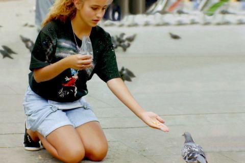 A woman feeding a pigeon. The Thai for "a woman feeding a pigeon" is "ผู้หญิงให้อาหารนกพิราบ".