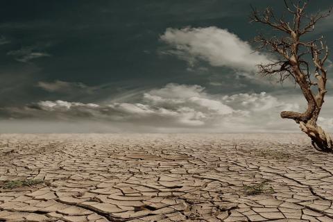 Dry; arid. The Thai for "dry; arid" is "แห้งแล้ง". Dry; arid. The Thai for "dry; arid" is "แห้งแล้ง".