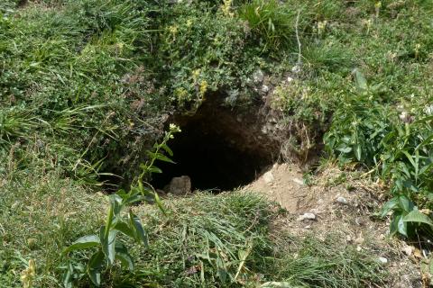 Hole; pit. The Thai for "hole; pit" is "หลุม". Hole; pit. The Thai for "hole; pit" is "หลุม".