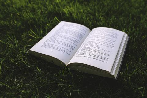 Book. The Thai for "book" is "หนังสือ".