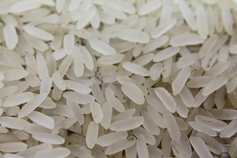 Rice. The Thai for "rice" is "ข้าว". Rice. The Thai for "rice" is "ข้าว".
