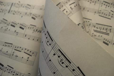 Music. The Thai for "music" is "ดนตรี".