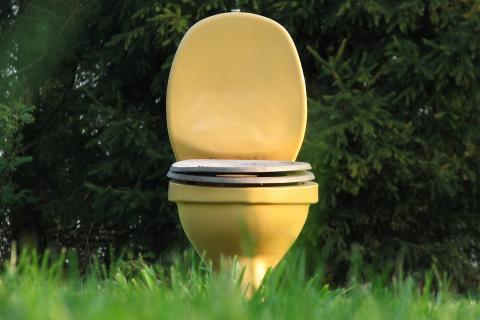 Toilet. The Thai for "toilet" is "ชักโครก". Toilet. The Thai for "toilet" is "ชักโครก".