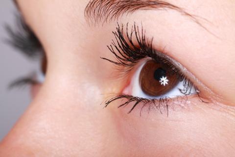 Eyelash. The Thai for "eyelash" is "ขนตา". Eyelash. The Thai for "eyelash" is "ขนตา".
