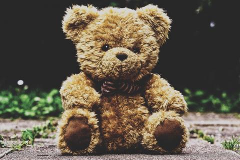 Teddy bear. The Thai for "teddy bear" is "ตุ๊กตาหมี". Teddy bear. The Thai for "teddy bear" is "ตุ๊กตาหมี".