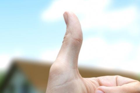Thumb. The Thai for "thumb" is "นิ้วโป้ง". Thumb. The Thai for "thumb" is "นิ้วโป้ง".