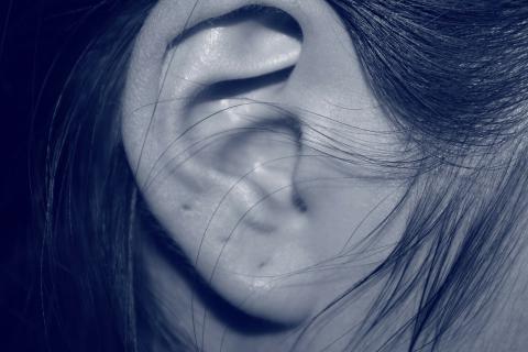 Ear. The Thai for "ear" is "หู".