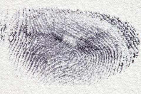 Fingerprint. The Thai for "fingerprint" is "รอยนิ้วมือ". Fingerprint. The Thai for "fingerprint" is "รอยนิ้วมือ".