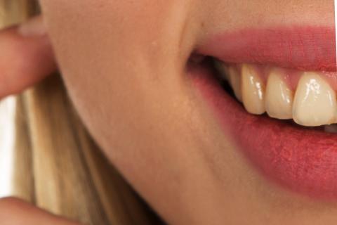 Yellow teeth. The Thai for "yellow teeth" is "ฟันเหลือง". Yellow teeth. The Thai for "yellow teeth" is "ฟันเหลือง".