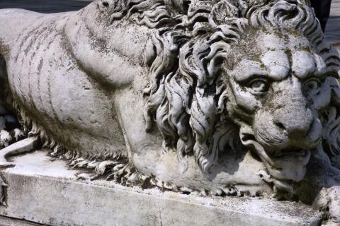 A lion statue. The Thai for "a lion statue" is "รูปปั้นสิงโต".