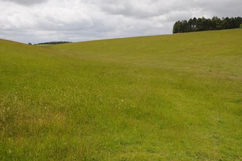 Meadow; prairie. The Thai for "meadow; prairie" is "ทุ่งหญ้า". Meadow; prairie. The Thai for "meadow; prairie" is "ทุ่งหญ้า".