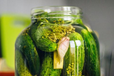 Pickled cucumbers in a glass jar. The Thai for "pickled cucumbers in a glass jar" is "แตงกวาดองในโหล". Pickled cucumbers in a glass jar. The Thai for "pickled cucumbers in a glass jar" is "แตงกวาดองในโหล".