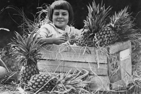 A girl in a pineapple crate. The Thai for "a girl in a pineapple crate" is "เด็กหญิงในลังสับปะรด". A girl in a pineapple crate. The Thai for "a girl in a pineapple crate" is "เด็กหญิงในลังสับปะรด".