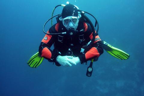 Diver. The Thai for "diver" is "นักดำน้ำ". Diver. The Thai for "diver" is "นักดำน้ำ".