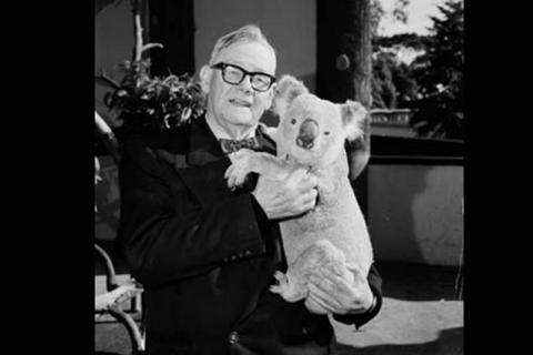 A man holding a koala. The Thai for "a man holding a koala" is "ผู้ชายอุ้มหมีโคอาลา". A man holding a koala. The Thai for "a man holding a koala" is "ผู้ชายอุ้มหมีโคอาลา".