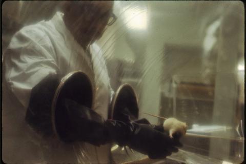 A scientist with a lab rat in a laboratory. The Thai for "a scientist with a lab rat in a laboratory" is "นักวิทยาศาสตร์กับหนูทดลองในห้องทดลอง". A scientist with a lab rat in a laboratory. The Thai for "a scientist with a lab rat in a laboratory" is "นักวิทยาศาสตร์กับหนูทดลองในห้องทดลอง".