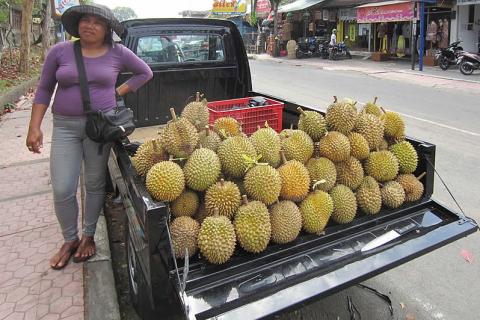 A vendor and a pile of durians in a pickup truck. The Thai for "a vendor and a pile of durians in a pickup truck" is "แม่ค้าและกองทุเรียนในรถปิ๊คอัพ". A vendor and a pile of durians in a pickup truck. The Thai for "a vendor and a pile of durians in a pickup truck" is "แม่ค้าและกองทุเรียนในรถปิ๊คอัพ".