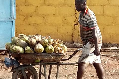 A pile of coconuts in his wheelbarrow. The Thai for "a pile of coconuts in his wheelbarrow" is "กองมะพร้าวในรถเข็นของเขา".