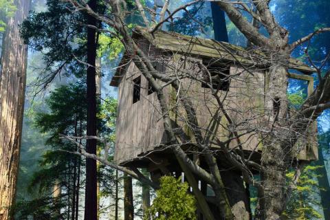 Tree house. The Thai for "tree house" is "บ้านต้นไม้". Tree house. The Thai for "tree house" is "บ้านต้นไม้".
