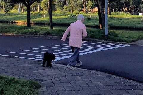 A woman leads her dog across the road.. The Thai for "A woman leads her dog across the road." is "ผู้หญิงจูงสุนัขของเธอข้ามถนน". A woman leads her dog across the road.. The Thai for "A woman leads her dog across the road." is "ผู้หญิงจูงสุนัขของเธอข้ามถนน".