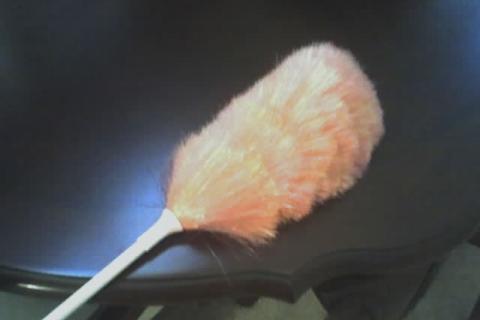 A feather duster. The Thai for "a feather duster" is "ไม้ปัดฝุ่น". A feather duster. The Thai for "a feather duster" is "ไม้ปัดฝุ่น".